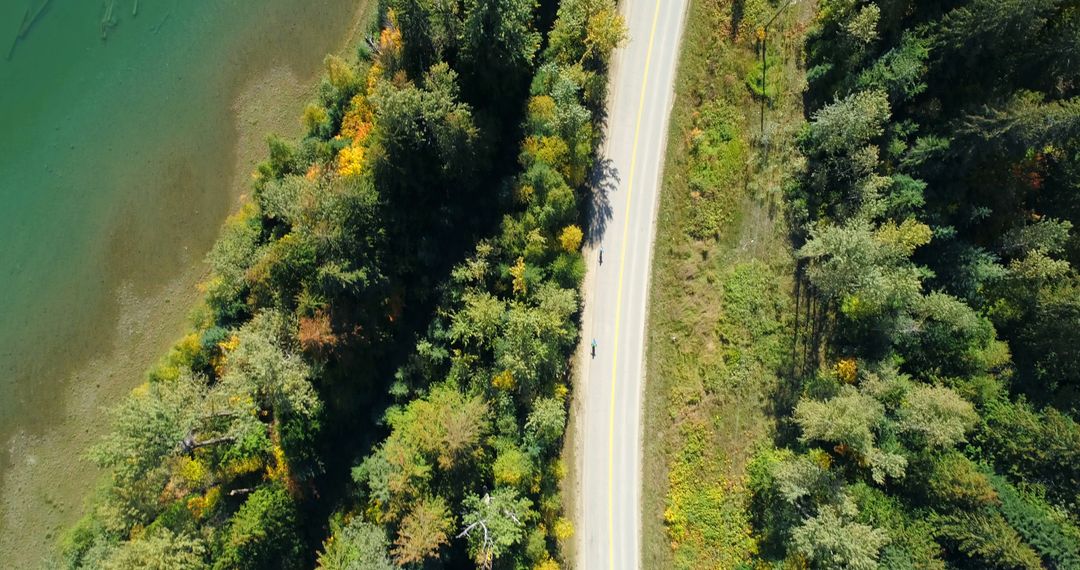 Aerial View of Winding Road Through Forest Near Green Lake - Free Images, Stock Photos and Pictures on Pikwizard.com