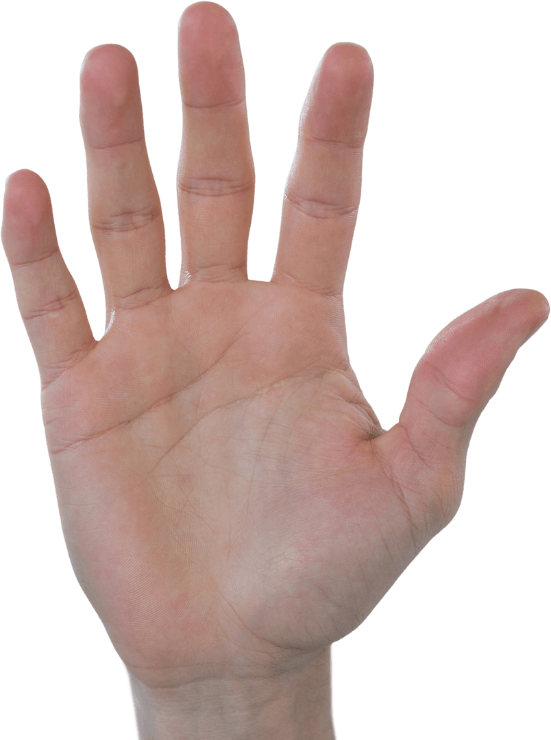 Transparent Hand Showing Palm Up on White Background
