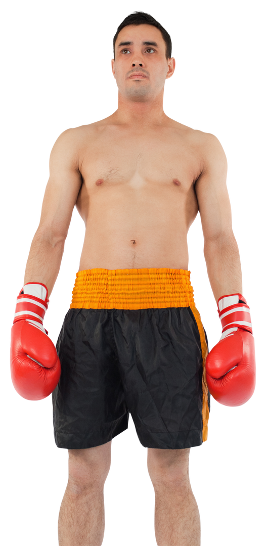 Biracial Boxer with Boxing Gloves Poses Tight-Lipped on Transparent Background - Download Free Stock Images Pikwizard.com