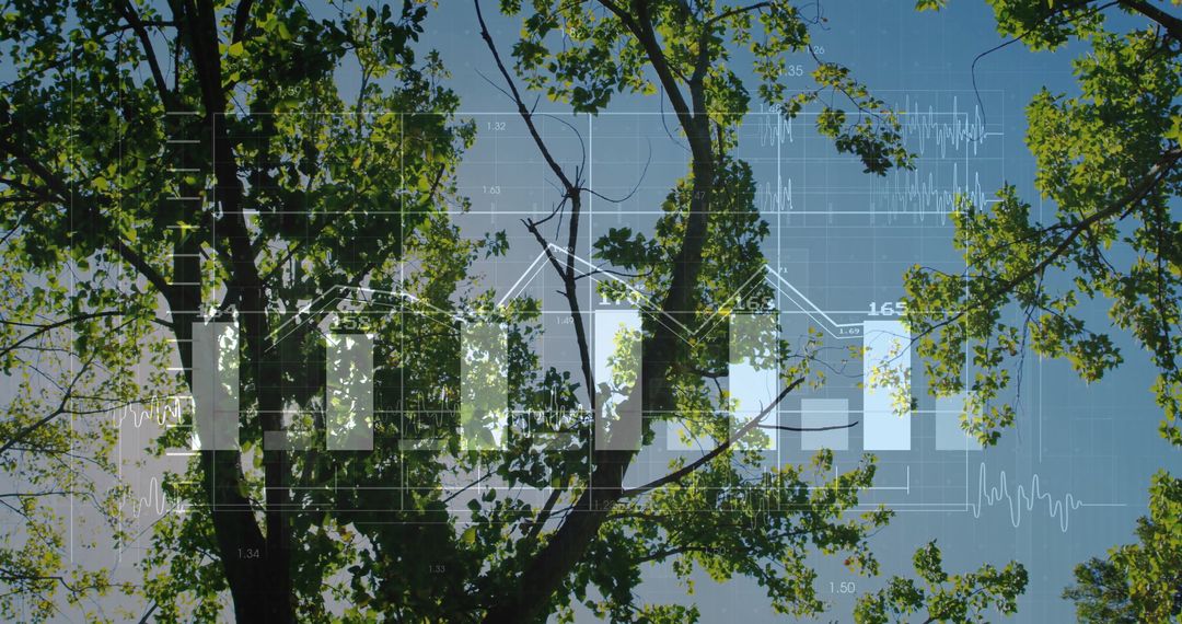 Digital Analytics Integration with Forest Canopy Overlay