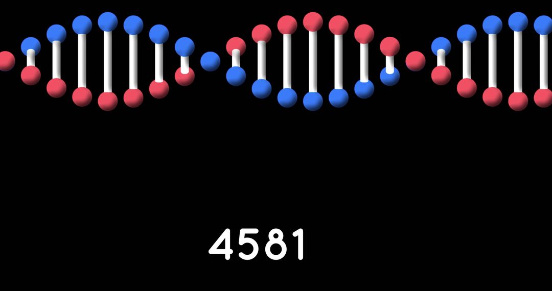 3D DNA Structure with Increasing Numerical Sequence