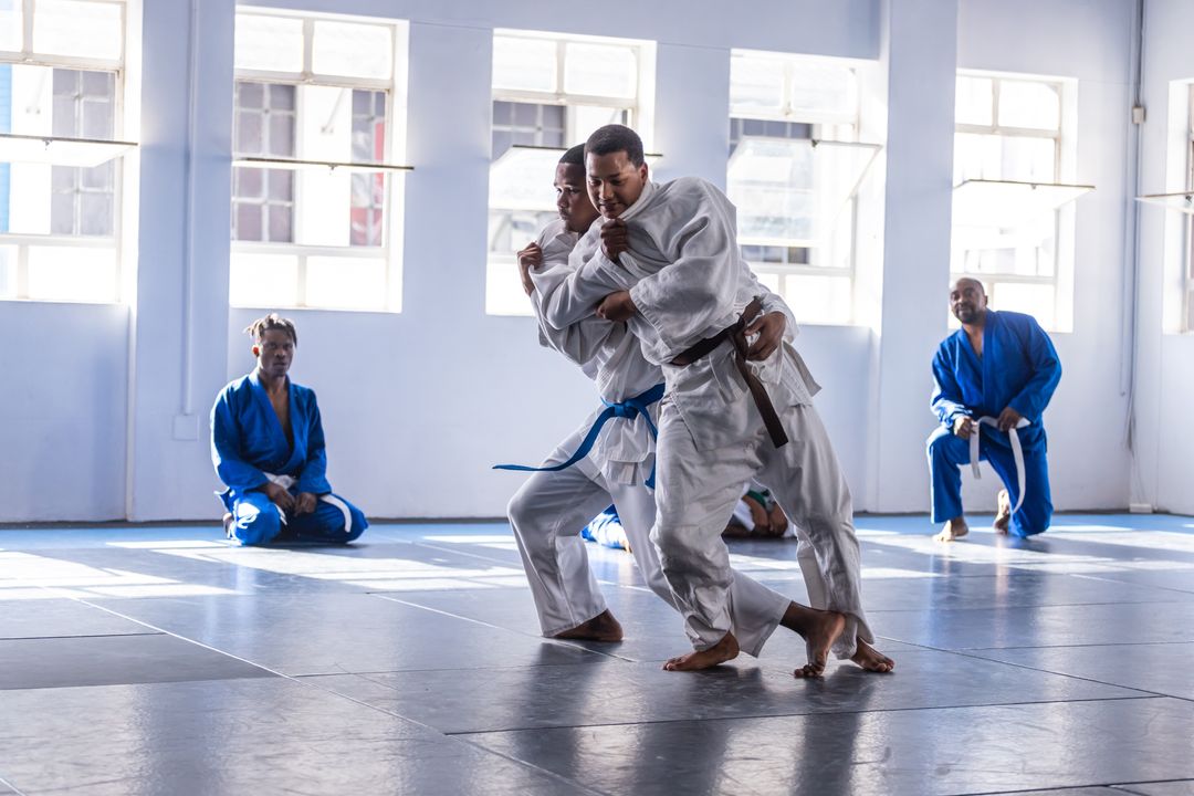 Martial Arts Students Engaged in Grappling at Dojo