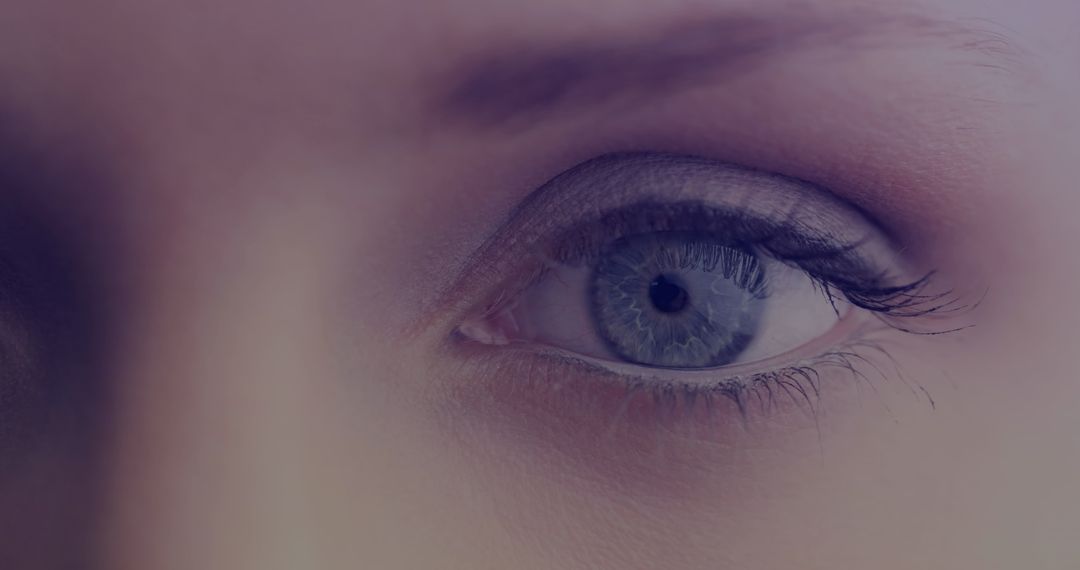 Close-Up Portrait of a Woman's Blue Eye with Makeup