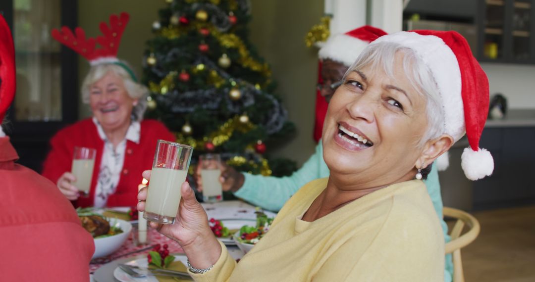 Smiling Senior Women Celebrating Christmas Together - Free Images, Stock Photos and Pictures on Pikwizard.com