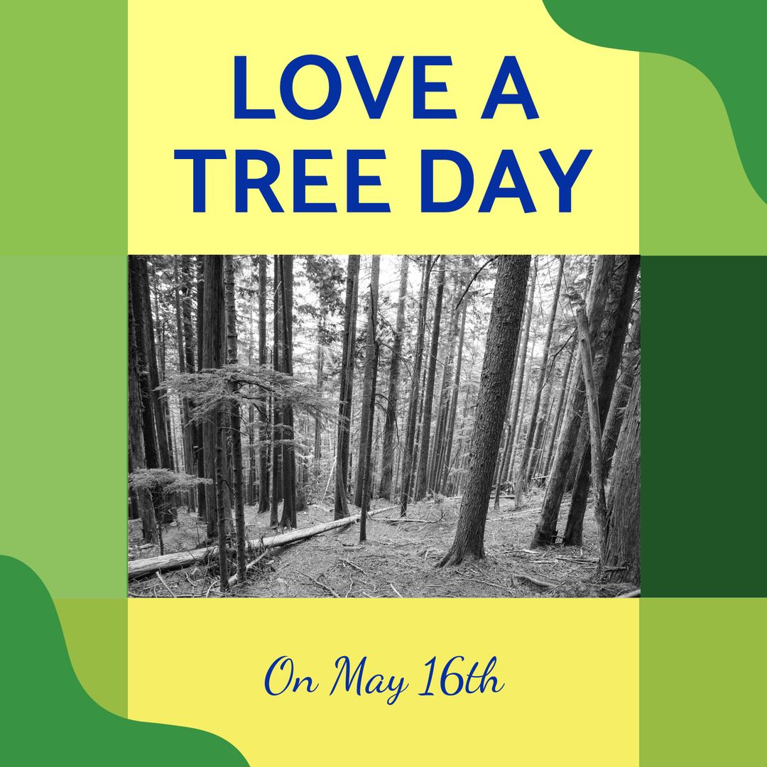 Love a Tree Day Celebration Banner with Forest Scene