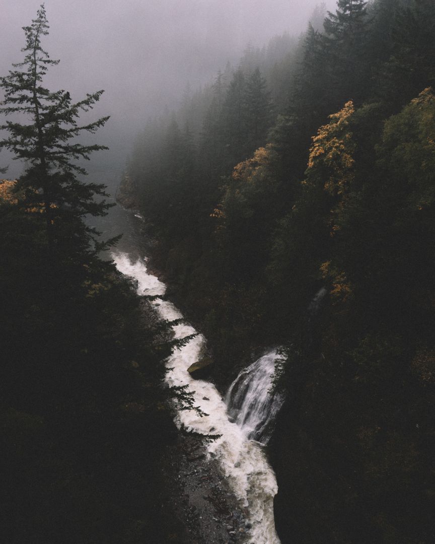 Misty Forest Waterfall in Serene Mountain Landscape - Free Images, Stock Photos and Pictures on Pikwizard.com