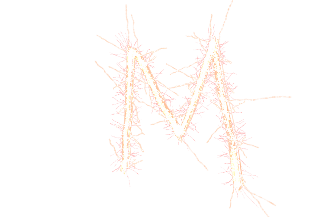 White Sparkling Letter M on Transparent Background - Download Free Stock Images Pikwizard.com