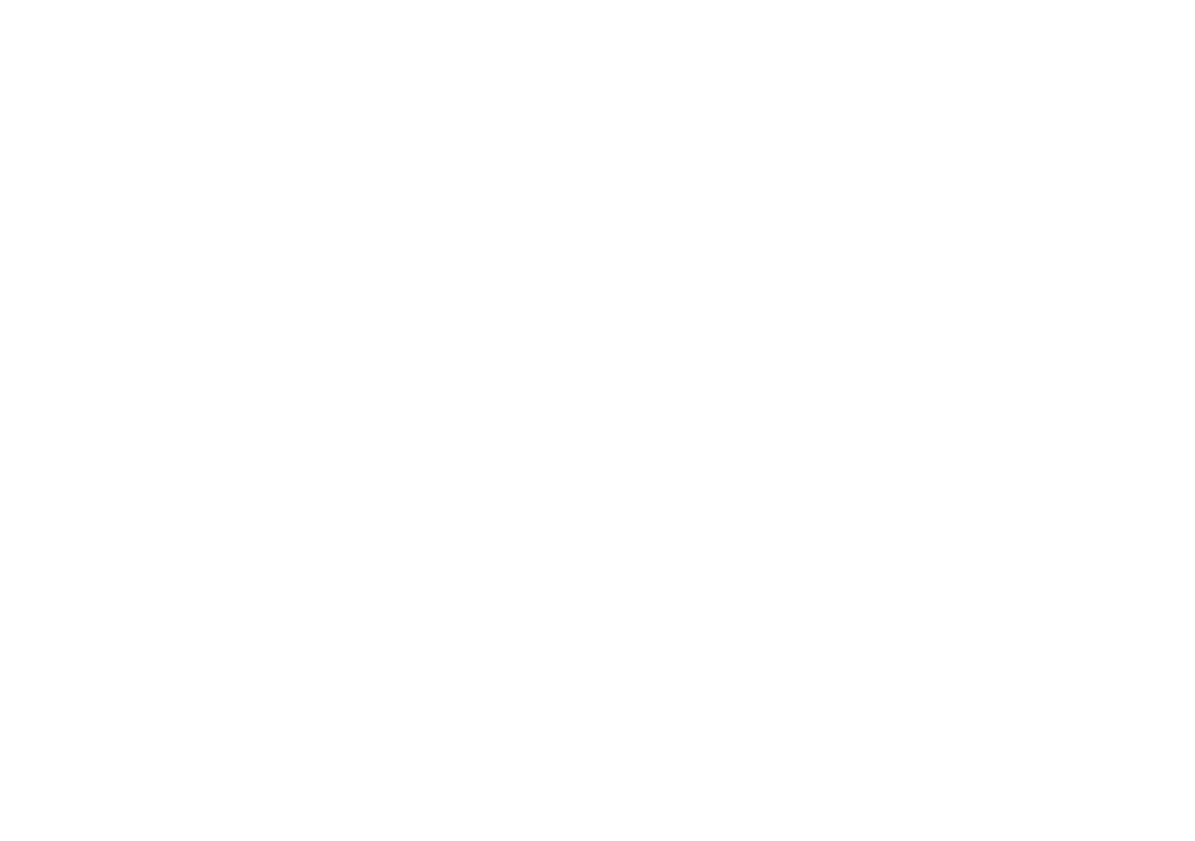 Silhouette of Man Weightlifting on Transparent Background - Download Free Stock Images Pikwizard.com