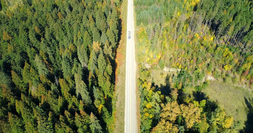 Aerial View of Car on Road through Forest in Autumn - Free Images, Stock Photos and Pictures on Pikwizard.com