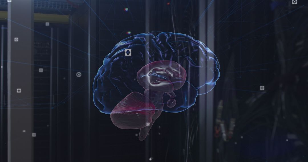 Digital Brain Overlay in a Futuristic Server Environment