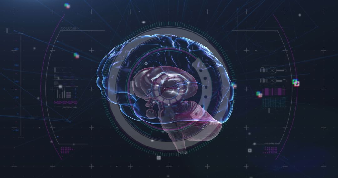 Holographic Brain Rotating with Digital Interface on Black Background