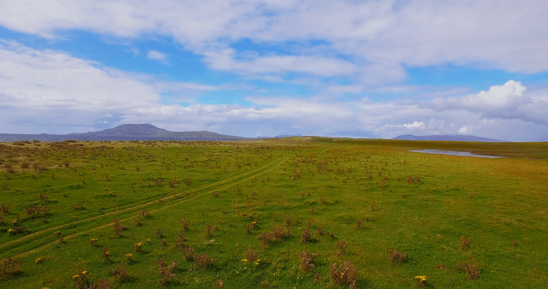 Transparent Sky Over Vast Green Pasture Landscape