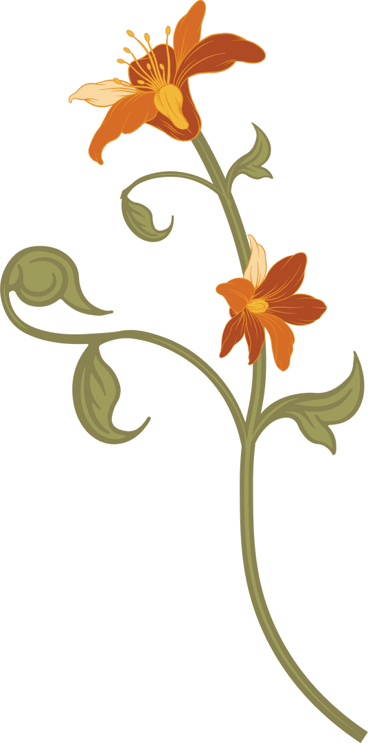 Transparent Floral Vine with Orange Blooms for Botanical Design