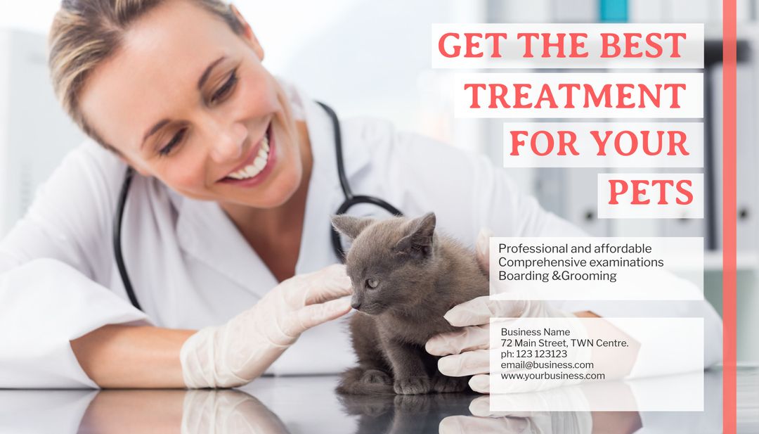 Smiling Veterinarian Examining Kitten at Veterinary Clinic - Download Free Stock Templates Pikwizard.com