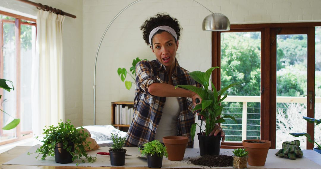 Woman Caring for Plants Indoors with Natural Light - Free Images, Stock Photos and Pictures on Pikwizard.com