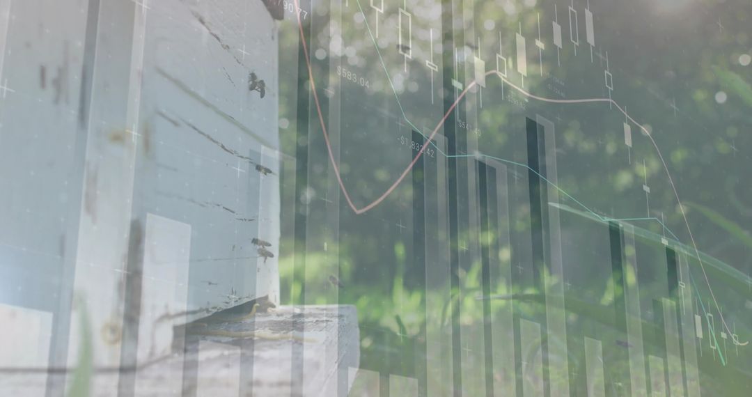 Beehive and Financial Chart Overlay, Nature Meets Data Analysis