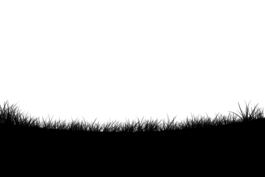 Transparent Vector Illustration of Grass with Copy Space