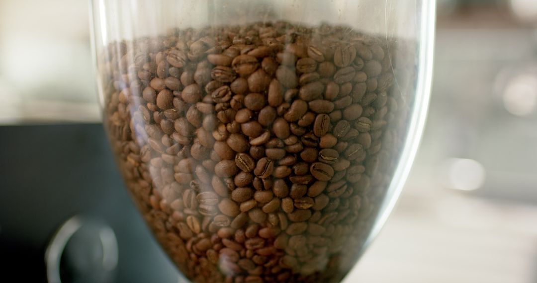 Close-Up of Fresh Coffee Beans in Transparent Container