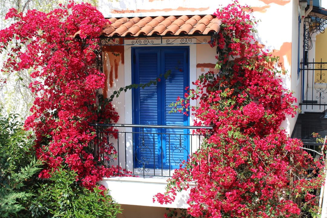 Charming Mediterranean Balcony with Red Bougainvillea - Free Images, Stock Photos and Pictures on Pikwizard.com