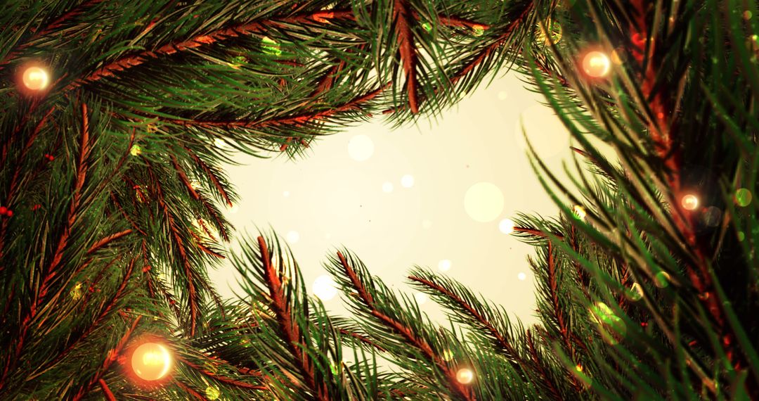 Festive Christmas Frame Featuring Lights and Fir Tree Branches