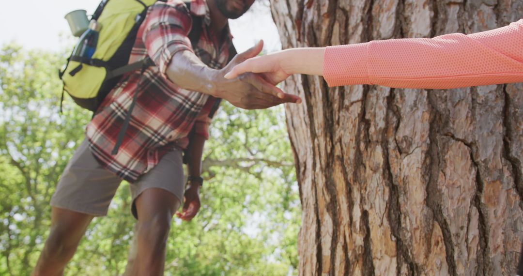 Hiker Helping Friend Climb Tree Trunk in Forest - Free Images, Stock Photos and Pictures on Pikwizard.com