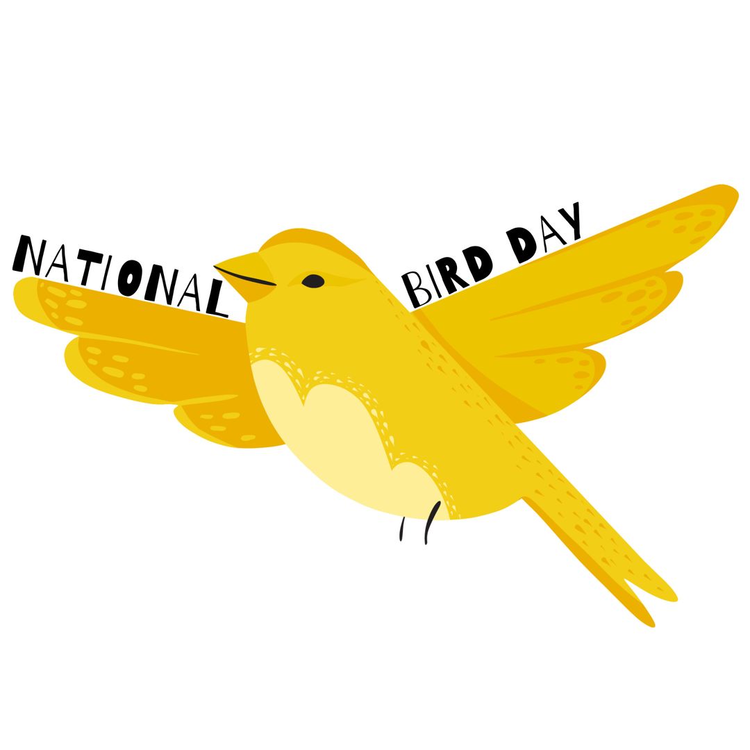 Yellow Bird Soaring for National Bird Day Celebration