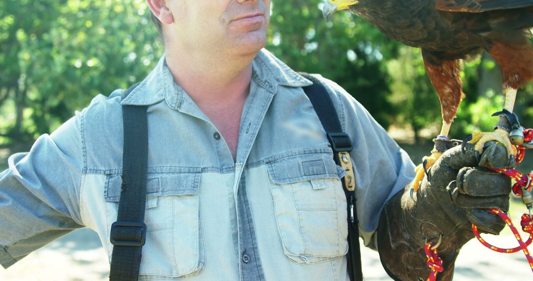 Experienced falconer interacting with trained bird of prey outdoors