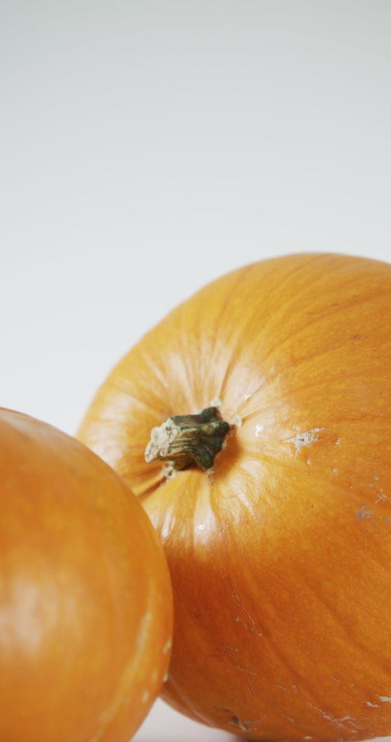 Close-up of Two Rotating Pumpkins on White Background - Free Images, Stock Photos and Pictures on Pikwizard.com