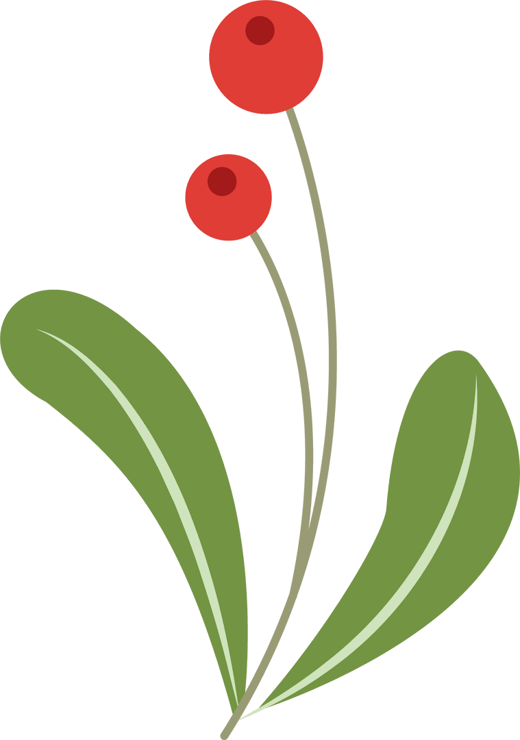 Minimalistic Botanical Illustration of Red Berries on Transparent Background