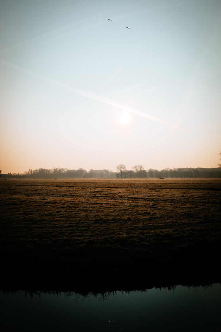 Peaceful Sunrise Over Expansive Grassland Field - Free Images, Stock Photos and Pictures on Pikwizard.com