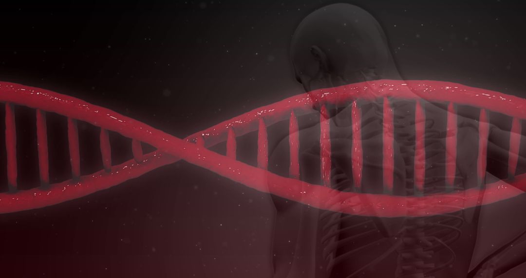 3D Red DNA Strand Over Human Body in Dark Background