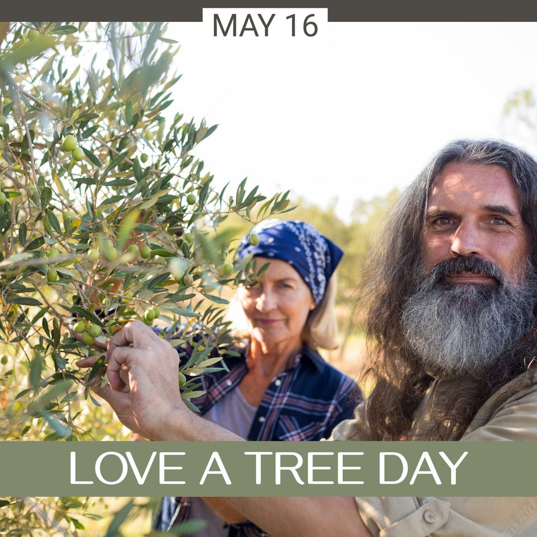 Senior Couple Joyfully Harvesting Tree Fruits in Lush Garden