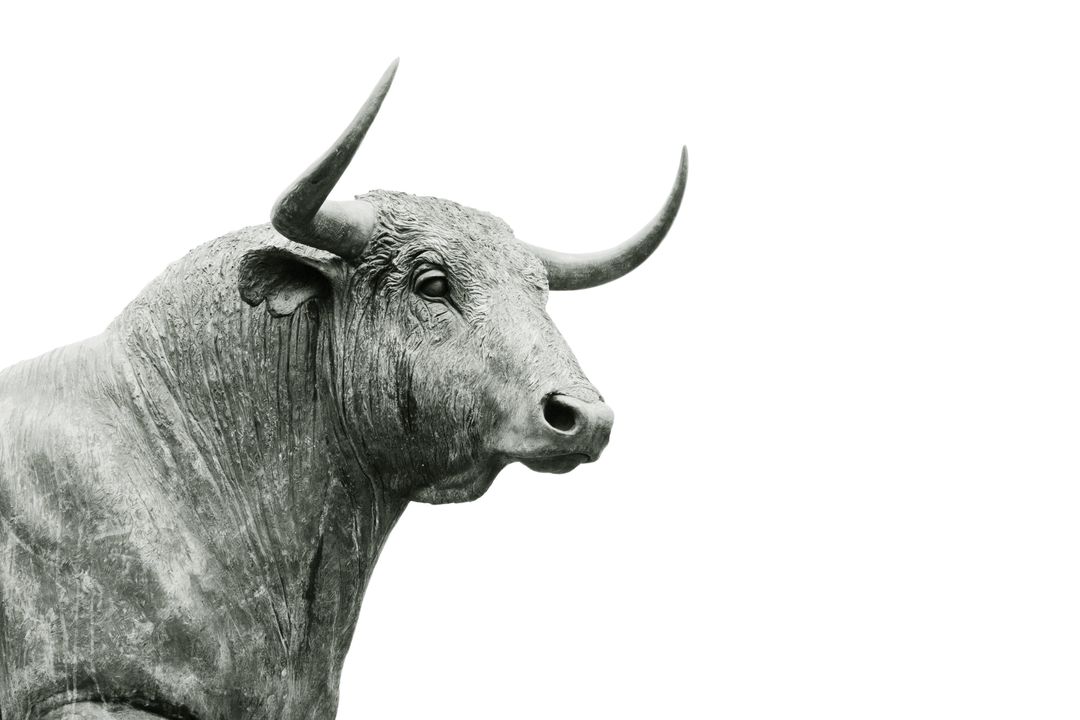 Majestic Bull Sculpture on White Background - Free Images, Stock Photos and Pictures on Pikwizard.com