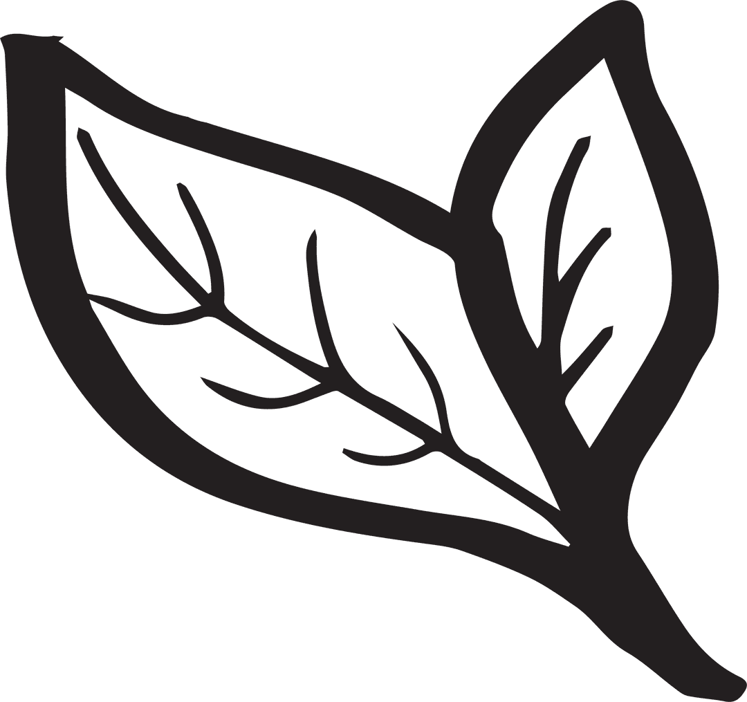 Transparent Outline Illustration of Leaves on Seamless Background