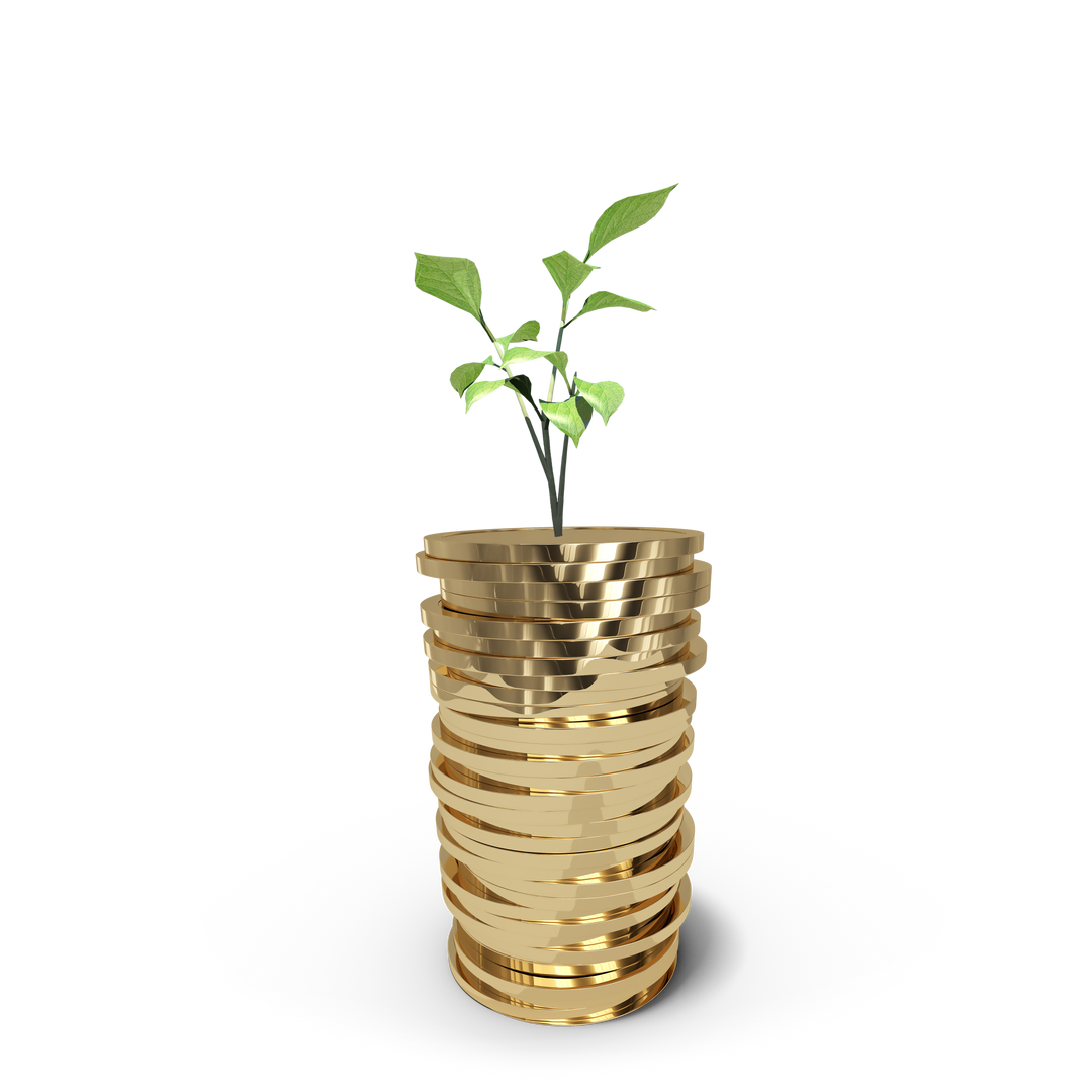 Stack of Gold Coins with Growing Plant: Investment Illustration and Transparent Background - Download Free Stock Images Pikwizard.com