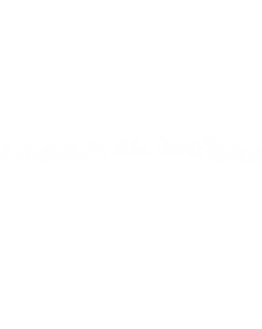 Silhouette of Meadow with Grass Line on Transparent Background
