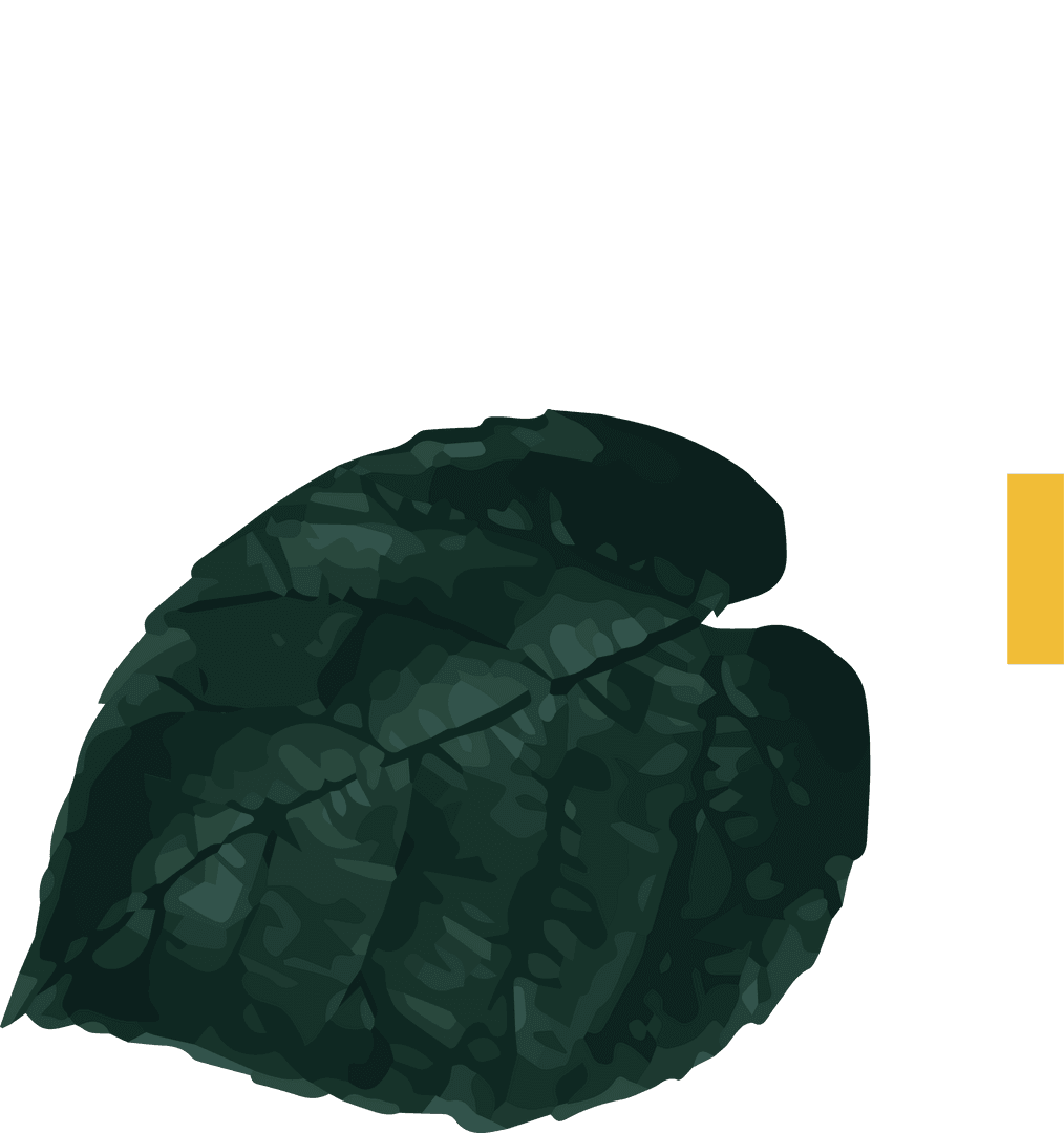 Dark Green Leaf Illustration with Transparent Background and Minimalistic Design