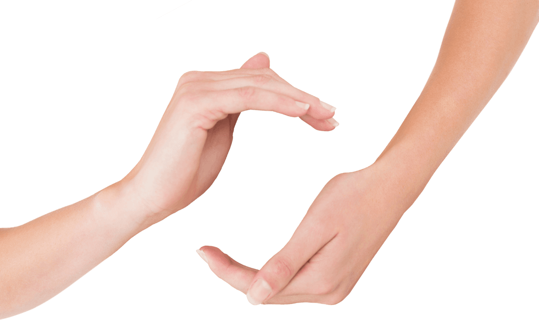 Caucasian Hands Gesturing Business Concept Transparent Background