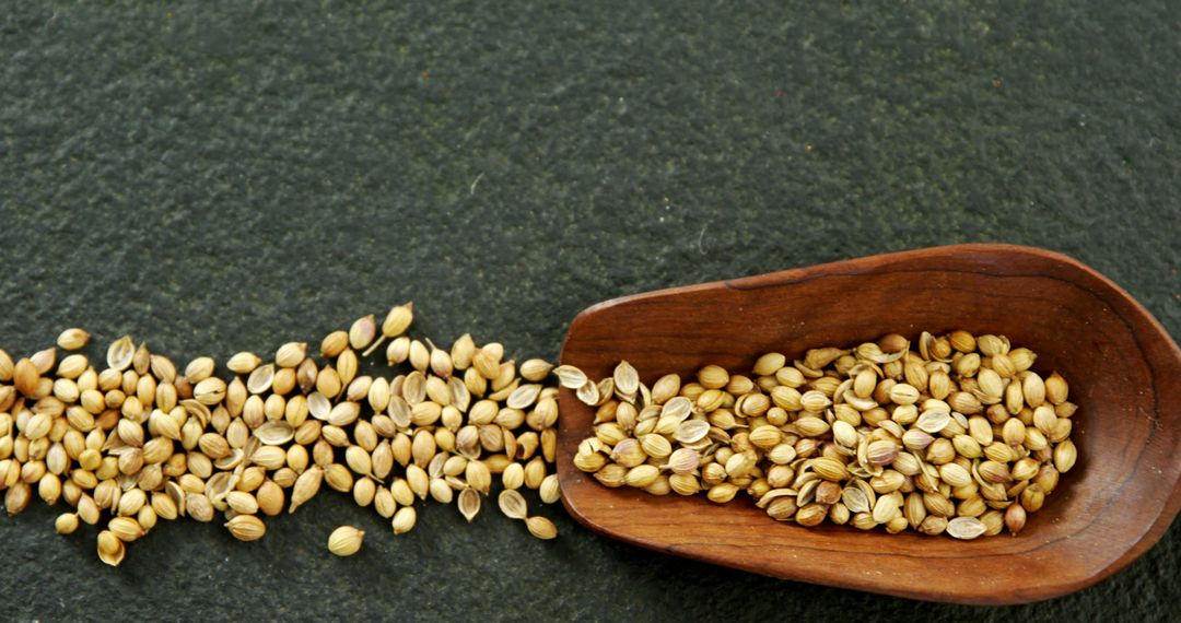 Organic Coriander Seeds Spilled From Wooden Scoop on Dark Background - Free Images, Stock Photos and Pictures on Pikwizard.com