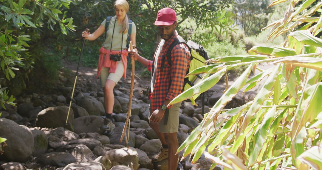 Adventurous Couple Hiking Through Scenic Forest Trail