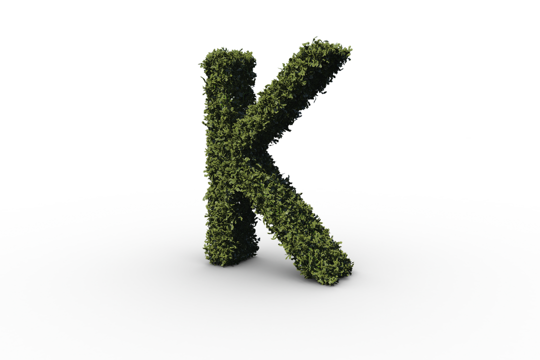 Letter K Made of Transparent Leaves Amid Dark Background - Download Free Stock Images Pikwizard.com