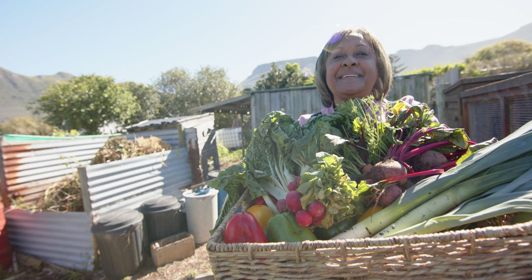 Happy elderly woman harvesting fresh vegetables in garden - Free Images, Stock Photos and Pictures on Pikwizard.com