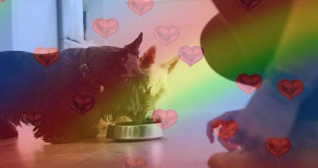 Rainbow-Infused Day with Dogs and Heart Balloons Celebration