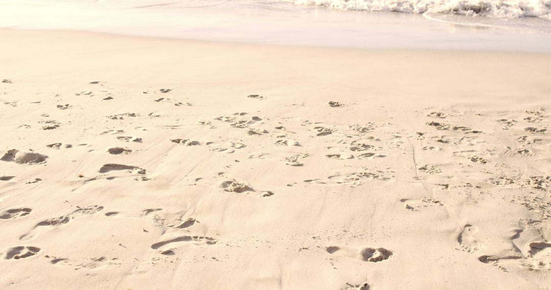 Footprints on Sandy Beach Near Shoreline - Free Images, Stock Photos and Pictures on Pikwizard.com