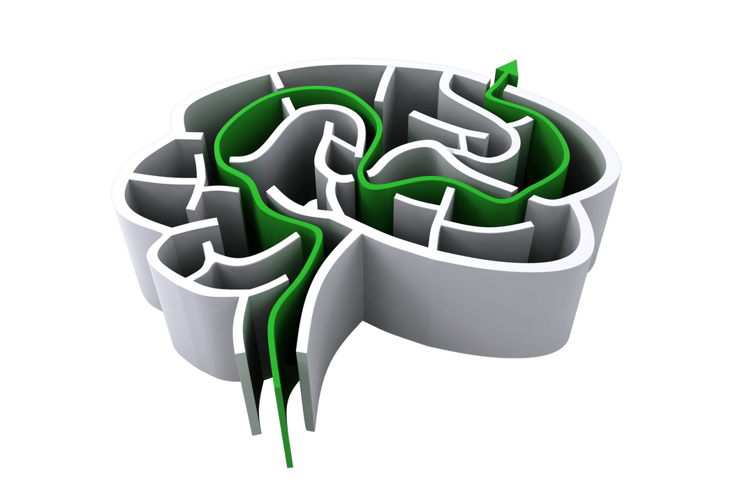 Transparent Brain Maze Vector Illustration with Path
