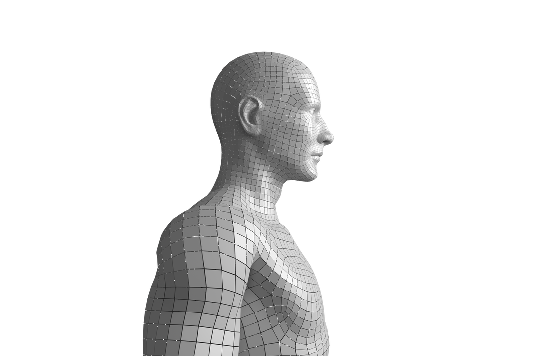 Digital 3D Model Illustration of Human on Transparent Background - Download Free Stock Images Pikwizard.com