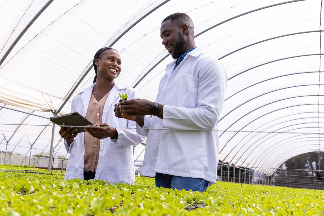 Colleagues Analyzing Seedlings in Modern Greenhouse