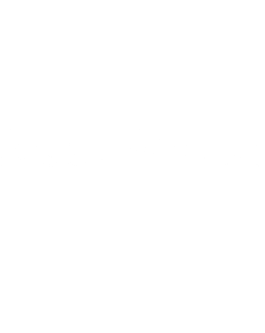 Winter Fir Tree Silhouette on Transparent Background
