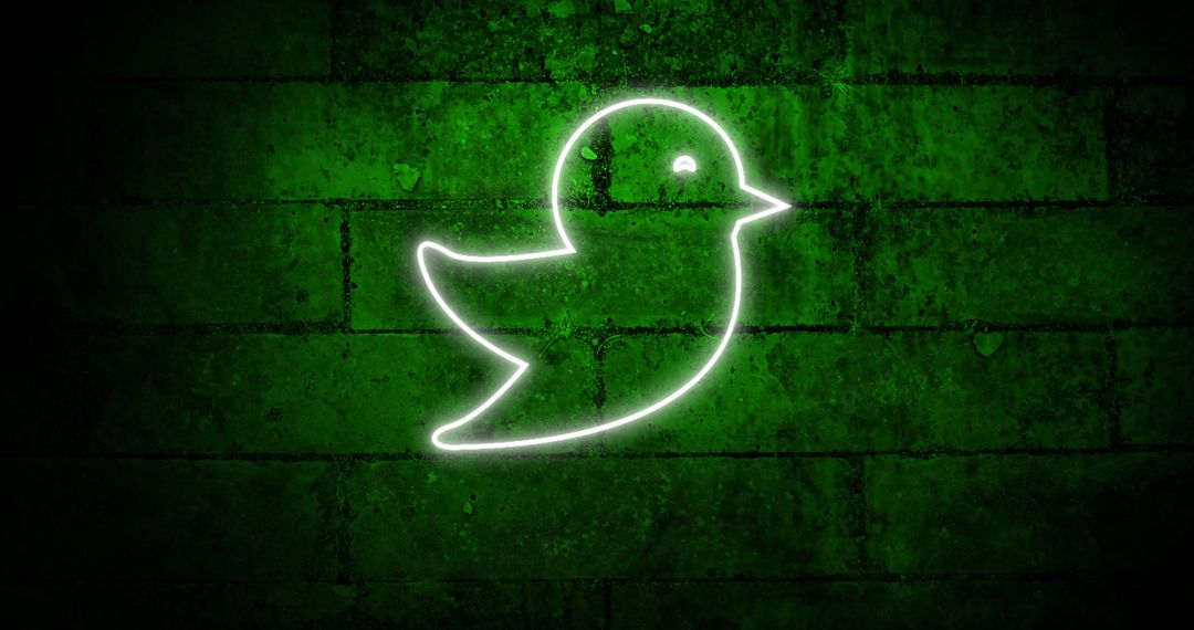 Glowing Neon Bird Icon on Dark Green Brick Wall - Free Images, Stock Photos and Pictures on Pikwizard.com