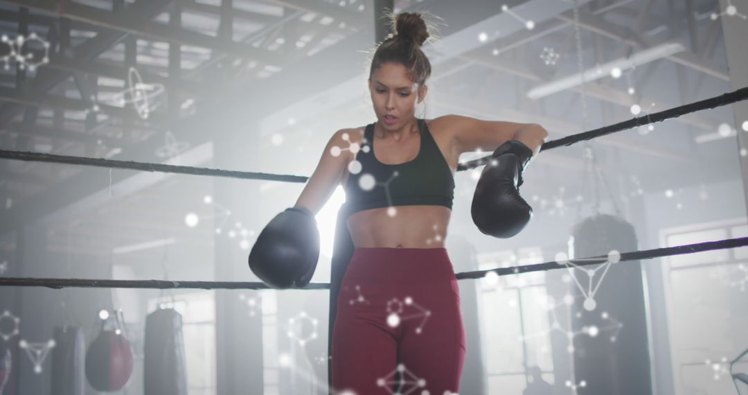 Female Boxer Relaxing in Ring Amidst Virtual Network Graphics - Free Images, Stock Photos and Pictures on Pikwizard.com